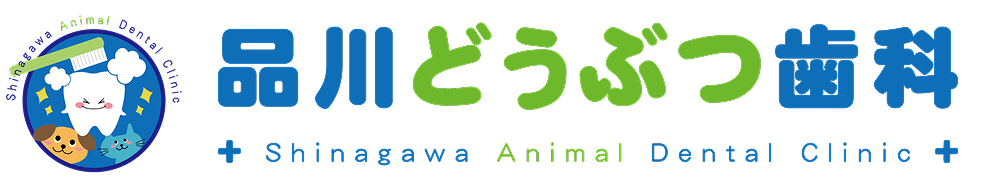 品川どうぶつ歯科