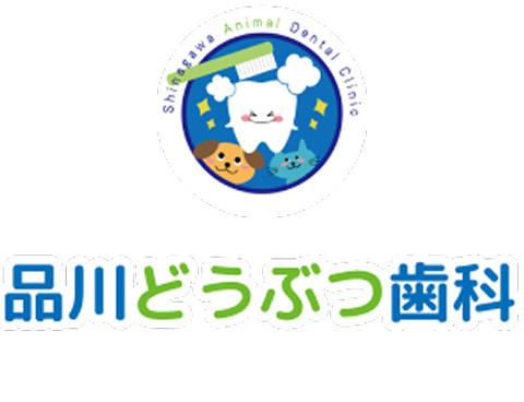 品川どうぶつ歯科 犬と猫の歯周病治療の歯医者さん
