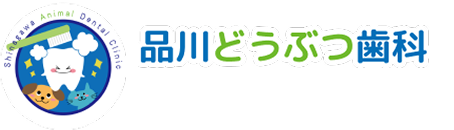 品川どうぶつ歯科 犬と猫の歯周病治療の歯医者さん
