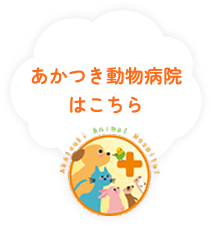 あかつき動物病院はこちら