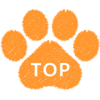 ページトップに戻る