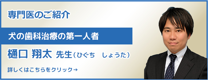 樋口先生紹介ページバナー